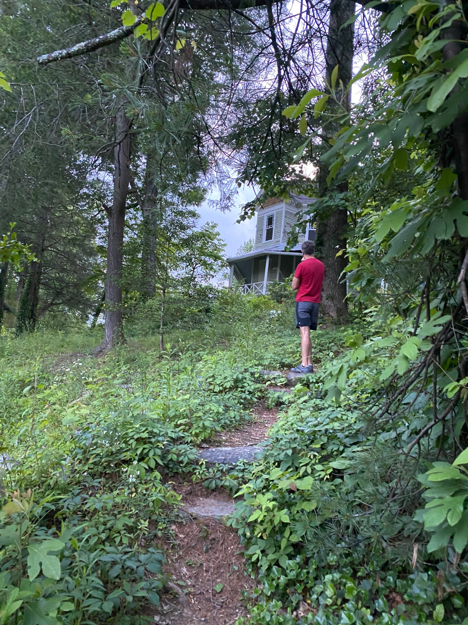 Grounds — overgrown & abandoned